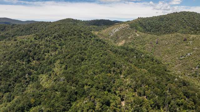 Lot 2 Rameka Creek Road Takaka_3
