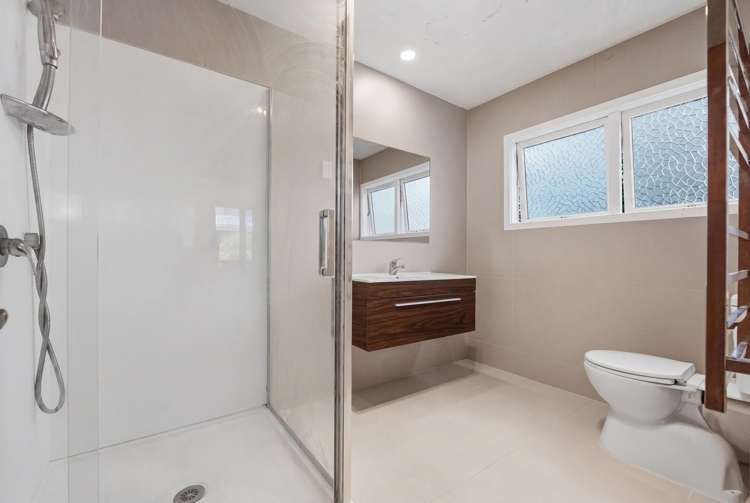 148 Astley Avenue New Lynn_8