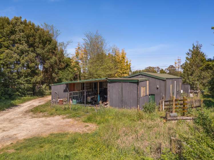 3/193 Racecourse Road Cambridge_19