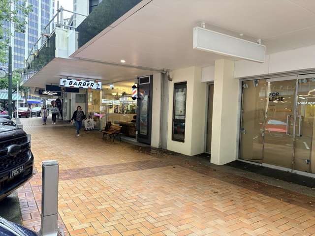 Ground/117 Lambton Quay Wellington Central_2
