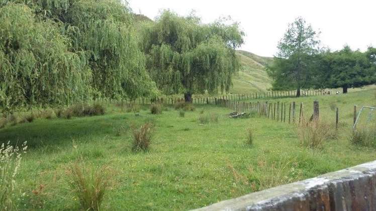 15 Earl Street Te Kuiti_28