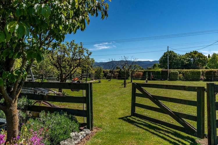 99 Lincoln Road Carterton_32