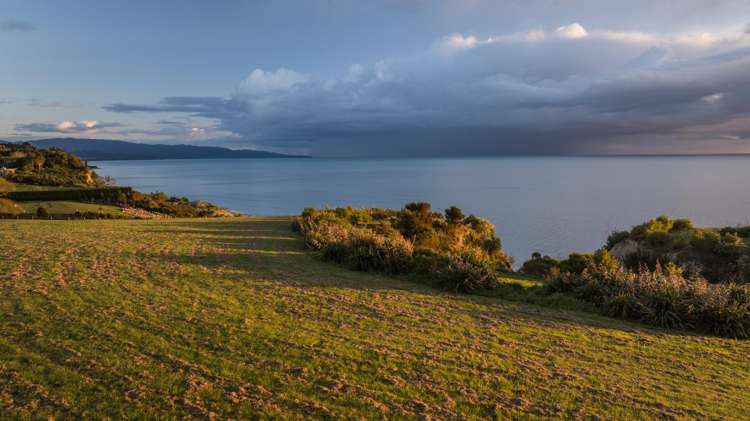 45 Deck Road Tasman_5