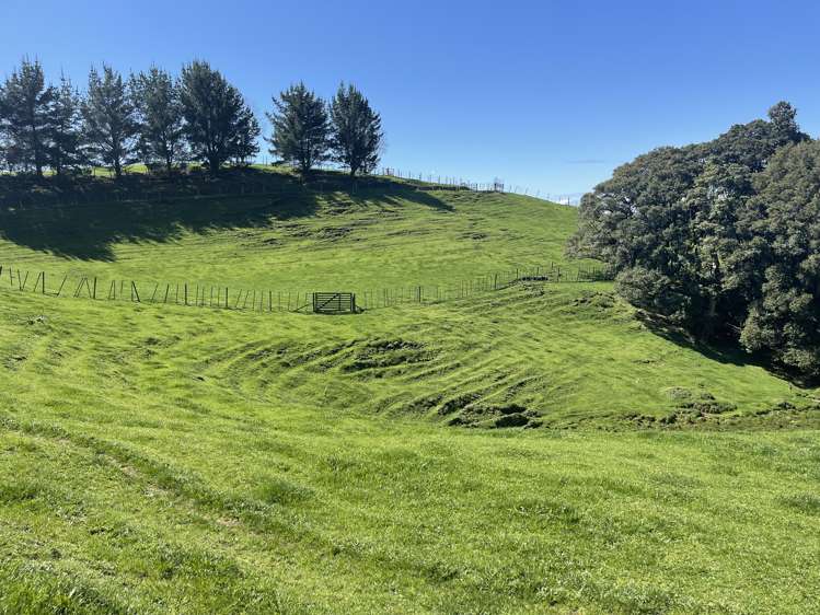 481 Honikiwi Road RD3 Otorohanga_10