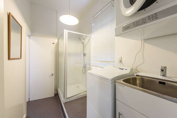 19 Devon Street Aro Valley_19