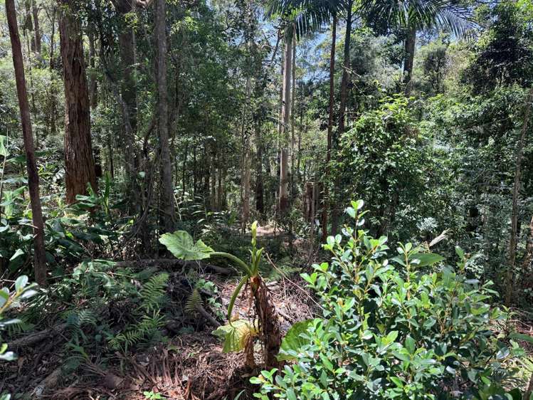 127 Wongawallan Road Tamborine Mountain_12