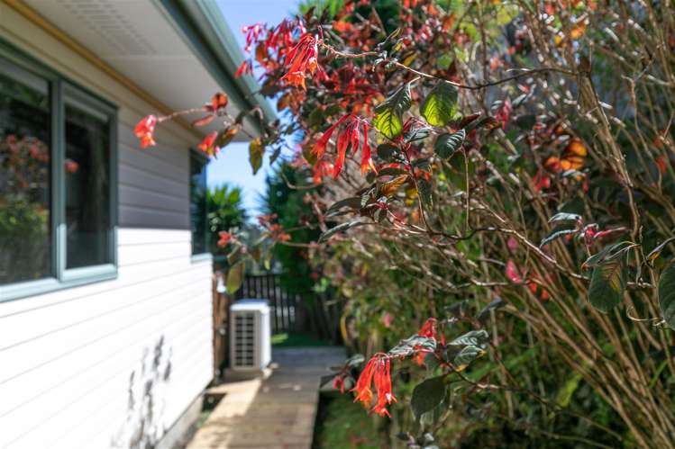 127 Rayner Road Huntly_23