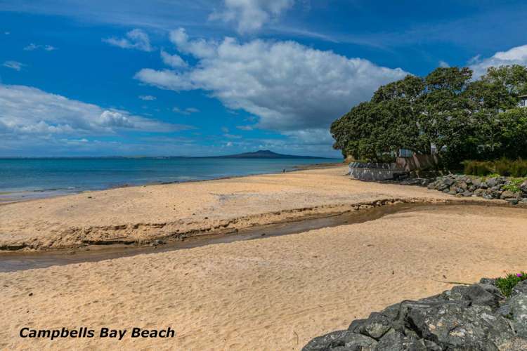 3 Tree Fern Trail Campbells Bay_26