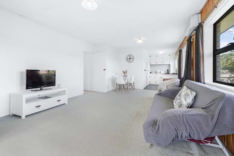 2b Herbert Street Kihikihi_8