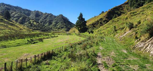 900 Okoki Road Okoki_3