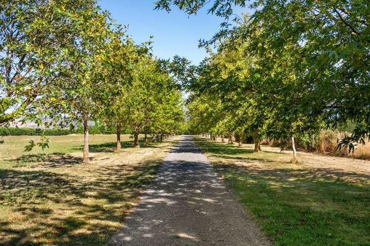 632 Waihopai Valley Road Renwick_12