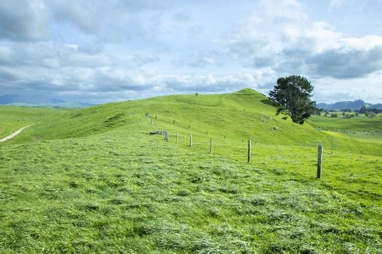 62 Rehi Road Ngakuru_22