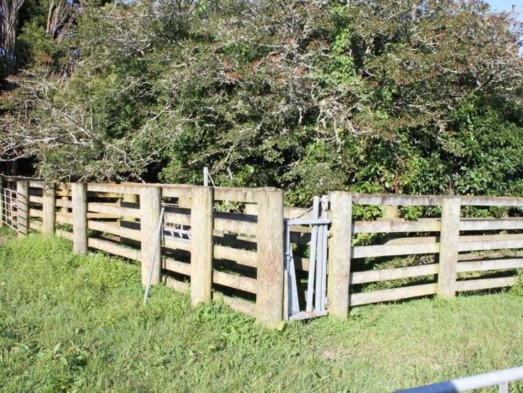 1355 Mountain Road Inglewood_34