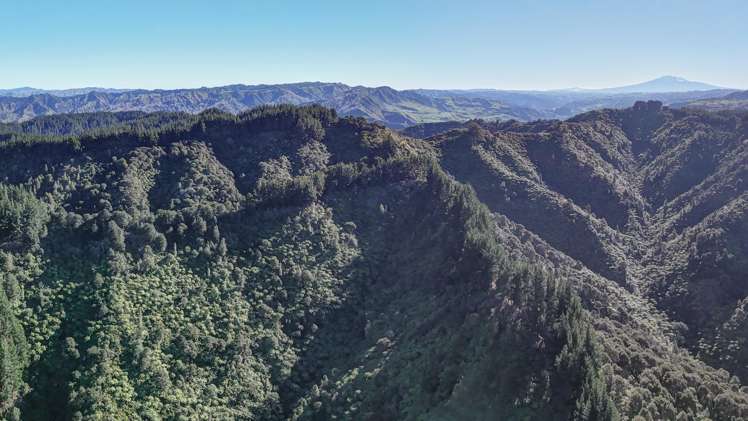 322 Creek Road Mangamahu_5