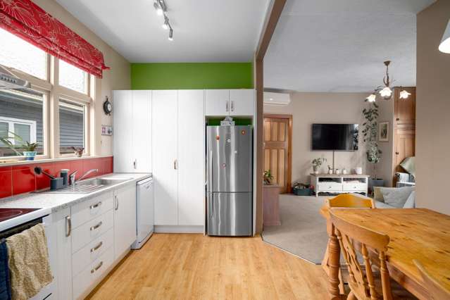 19 Gibbon Street Sydenham_1