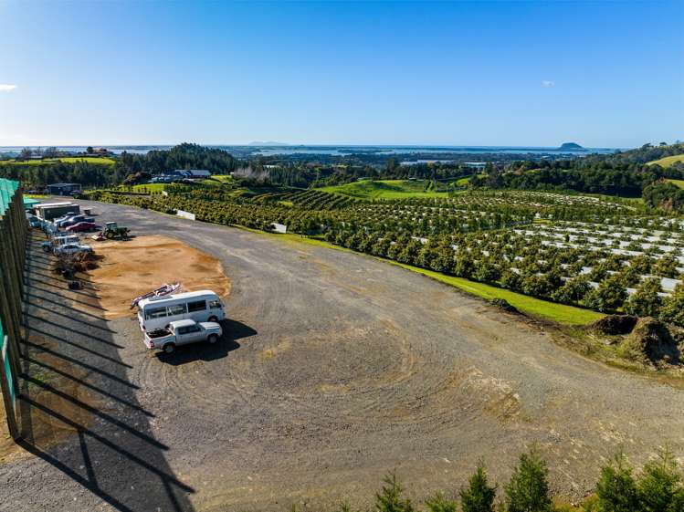 299b Whakamarama Road Whakamarama_10