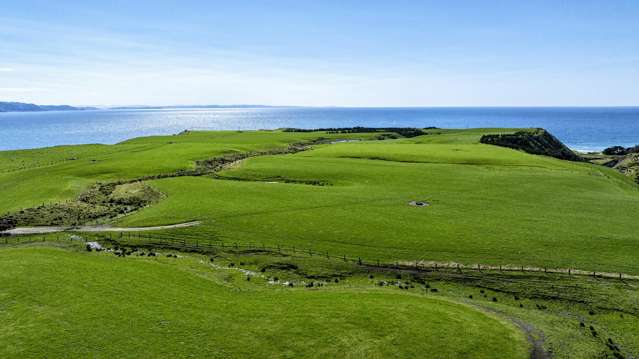 790 Mahia East Coast Road Māhia_4