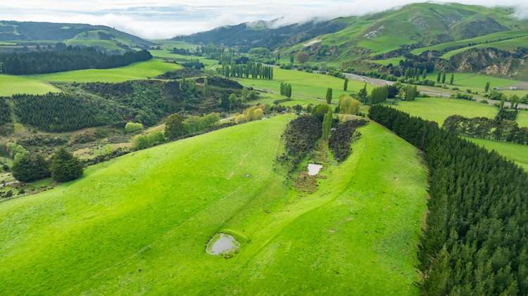 1241 Blythe Road Domett_20