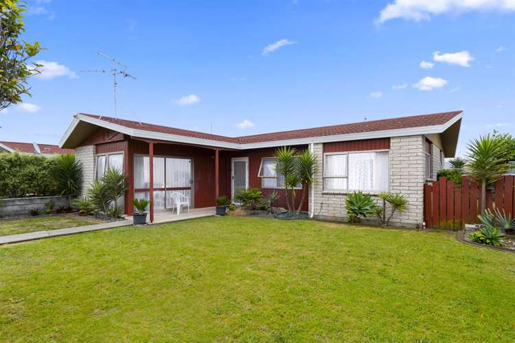 10b Taupo Avenue Mount Maunganui_0