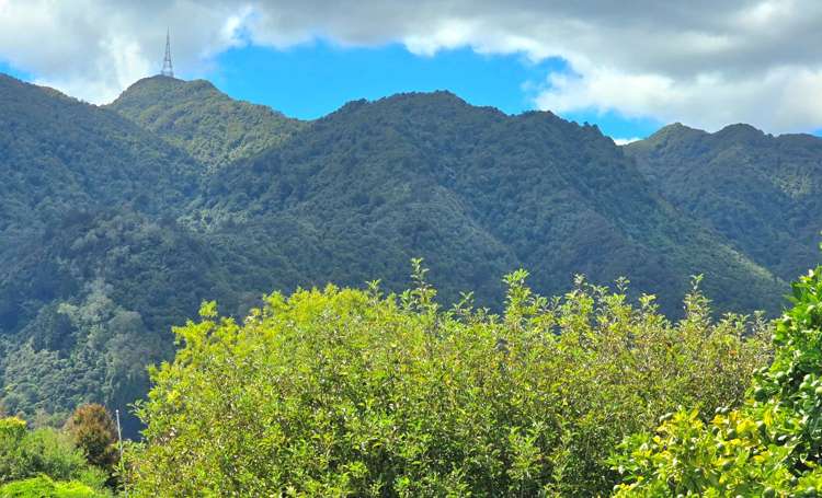 11A Aroha View Avenue Te Aroha_27