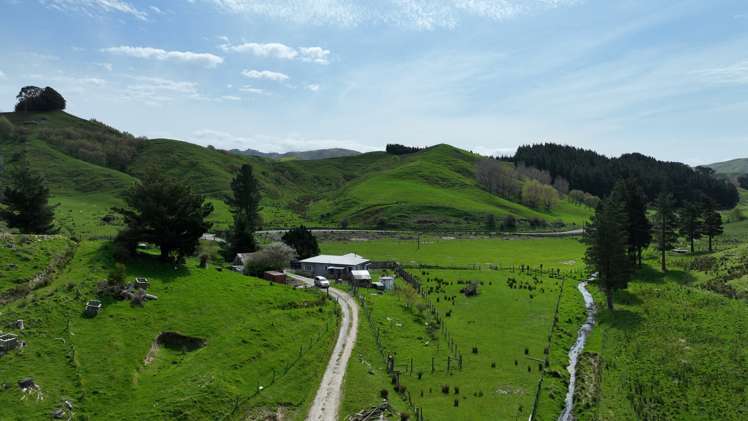 222 North Road Mauriceville_1