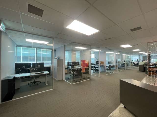 123 Carlton Gore Road Newmarket_2