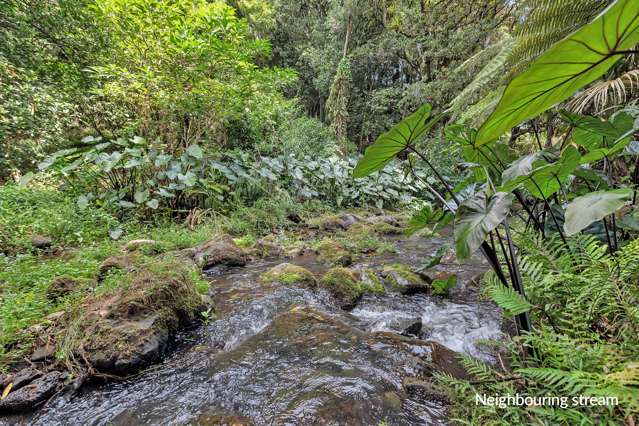 81 Crane Road Ngararatunua_3