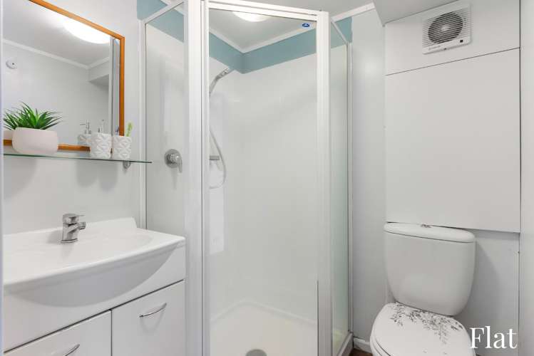 20 Pearce Street Vogeltown_13