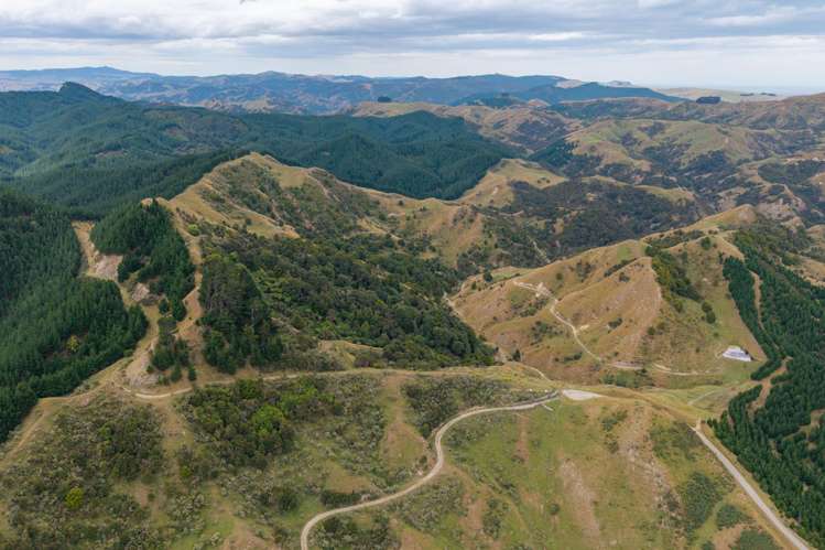 310 Branscombe Road Akitio_7