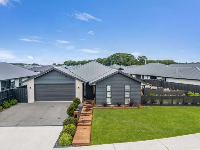 13 Stackwood Avenue Ravenswood_1