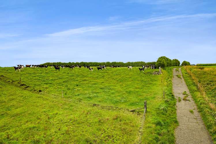 41a Ball Road Kakaramea_14