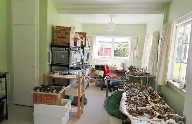 3 Sunderland Street Waimangaroa_11