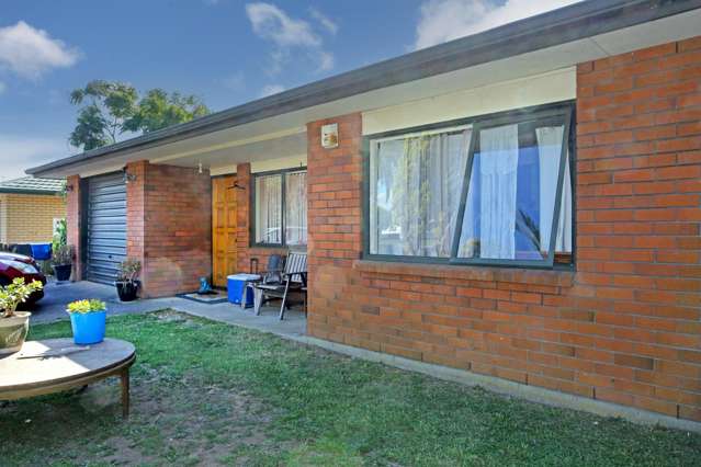 165 Te Irirangi Drive Flat Bush_2