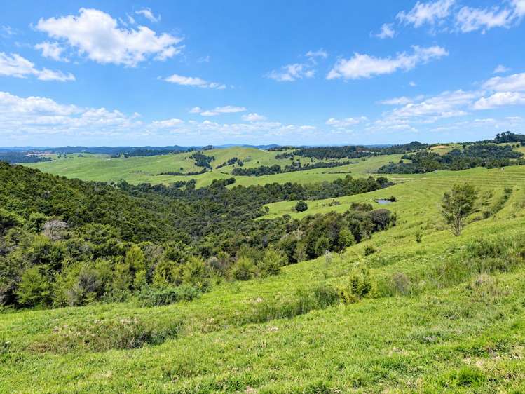 583 Lusk Road Ruawai_35