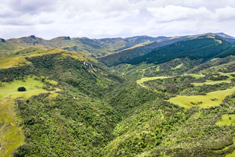 671 Saunders Road Tiraumea_14