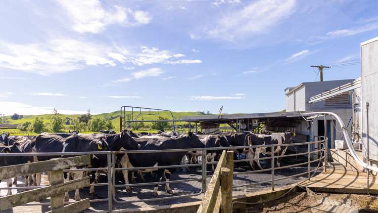 6 Tahuroa Road Tauwhare_18