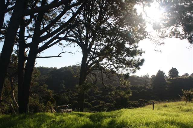 62 Grahams Beach Road Manukau Heads_3