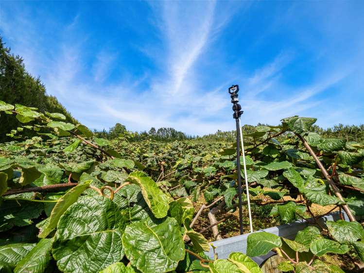 449 Crawford Road Te Puna_7