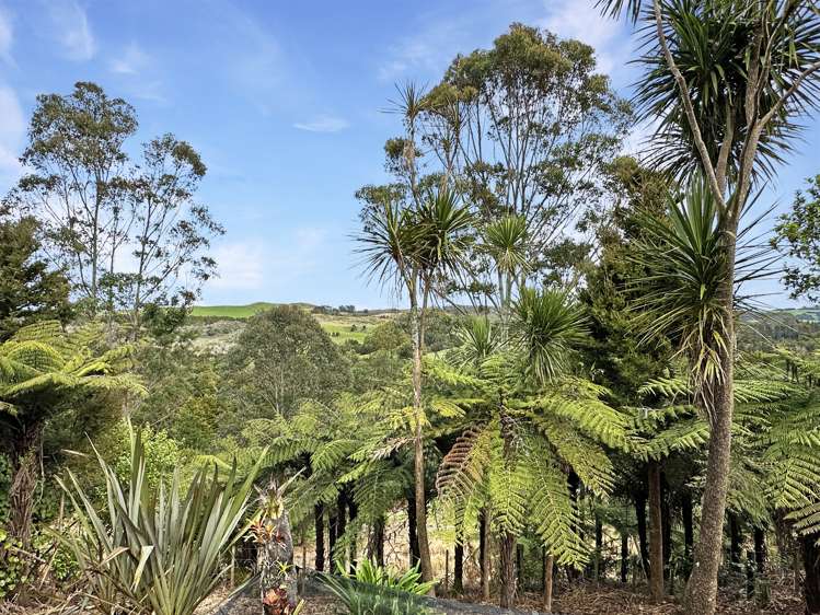 42 Ngapuhi Road Kerikeri Surrounds_20