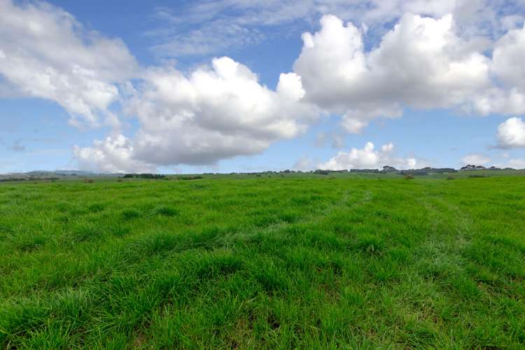 44 Black Road Te Kauwhata_13