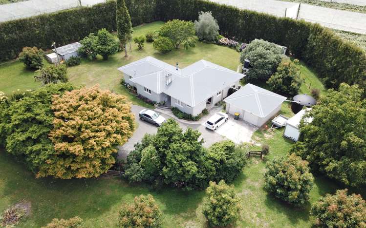 651 Rangiuru Road Te Puke_3
