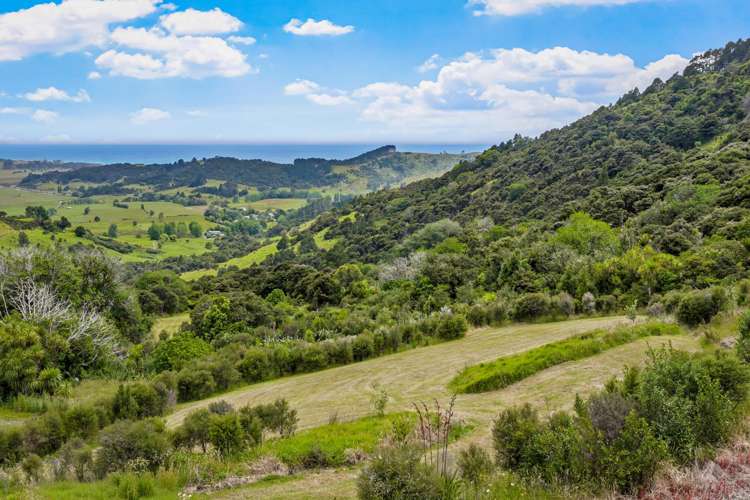 85 Tiro Lane Pakiri_3