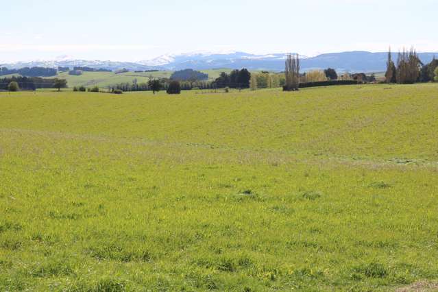 47 Dalvey Road Tapanui_2