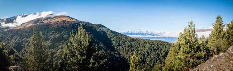 132 Alpine Retreat Road Ben Lomond_12