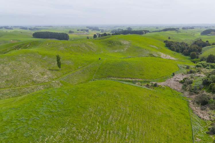 137 Zigzag Road Pohangina Valley_9