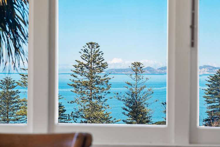 16 Brewster Street Bluff Hill_34