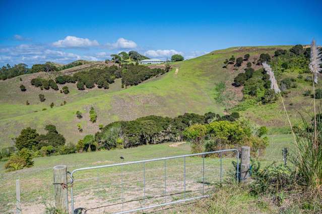 Coastal estate overlooking Onetangi Bay
