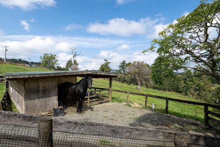 76 Burne Road Waitoki_27