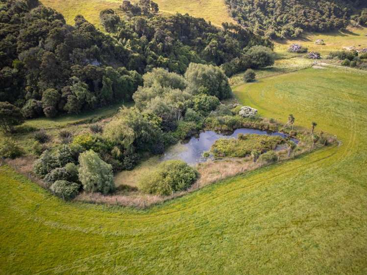 121 Joyce Road Hampden_8