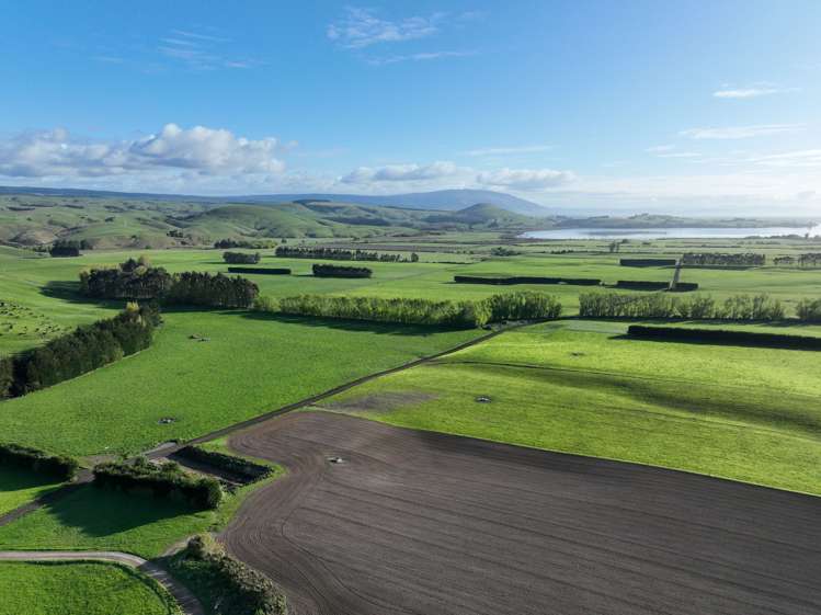 30 Phosphate Road Milton_4